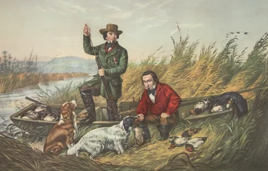 Wild Duck Shooting, A Good Day